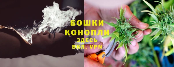 спиды Арсеньев