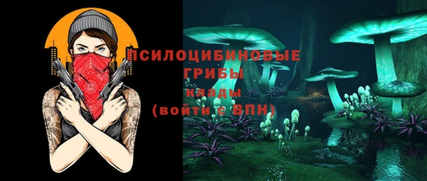 спиды Арсеньев
